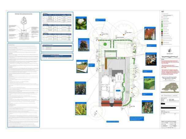 Image of a typical landscape plan showing what types of trees and plants will be placed within the grounds of a property