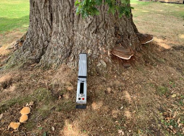 resistograph machine resting against a tree for decay detection
