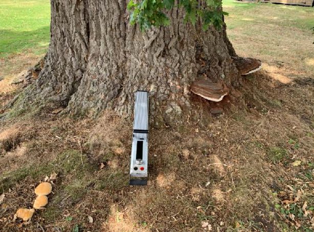resistograph machine resting against a tree for decay detection